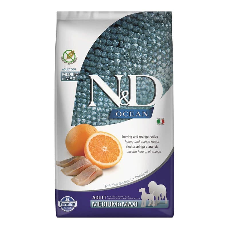 N&D Ocean Tahılsız Ringa Balığı ve Portakallı Orta ve Büyük Irk Köpek Maması paket görseli