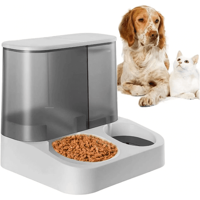 Köpek Mama ve Su Kapları